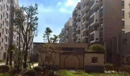 刘大锤最新爆料视频网页,热点事件背后真相曝光